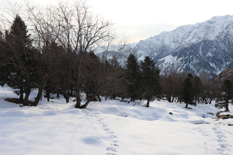 snow