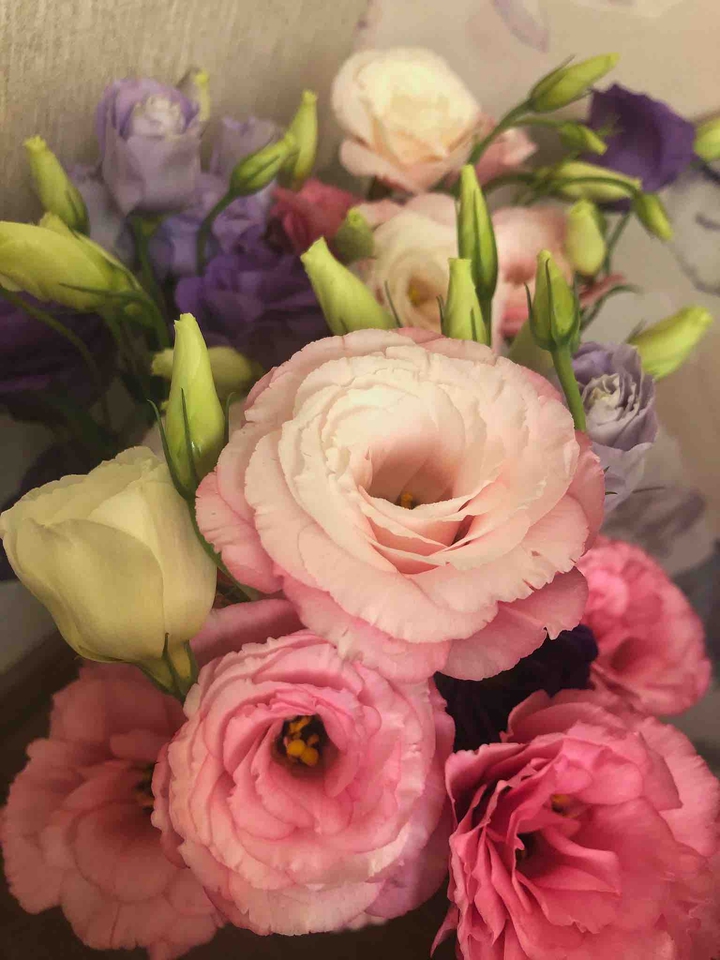flowers
