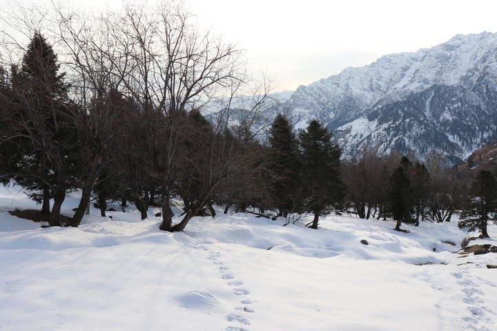 snow