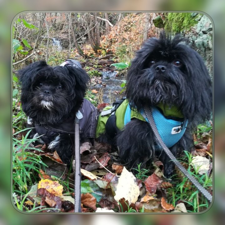Basti und Benni .... unsere „Wander-Boy's“