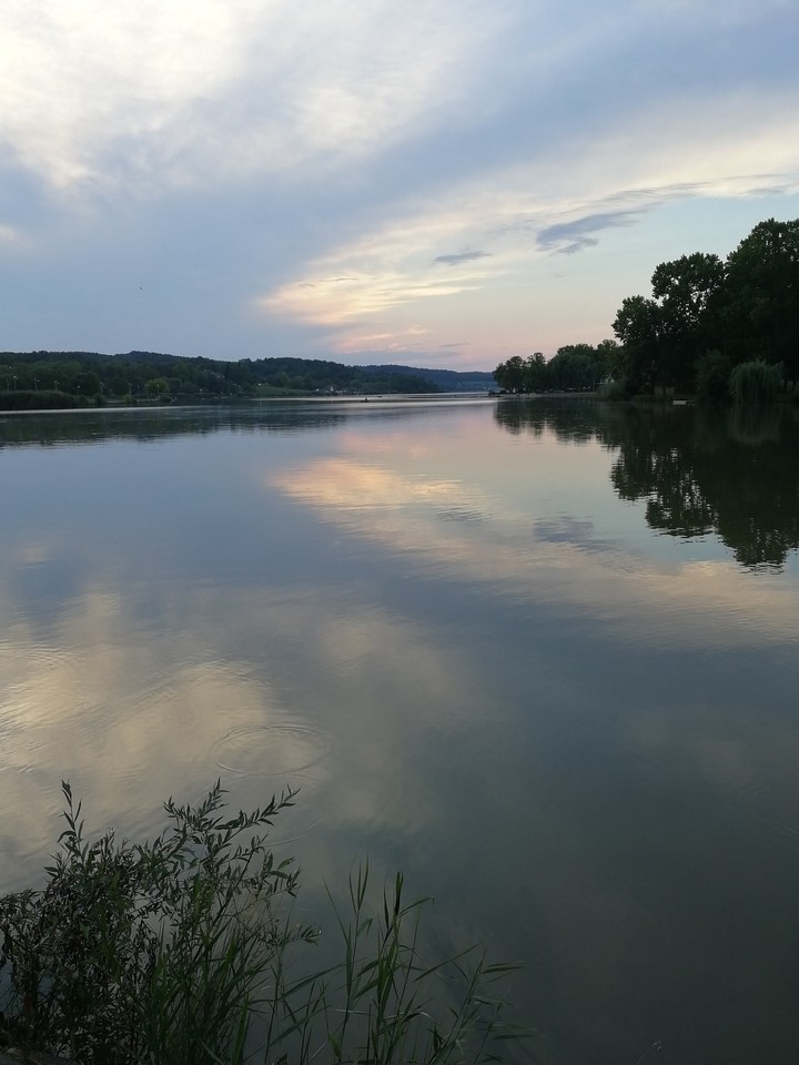 reflection