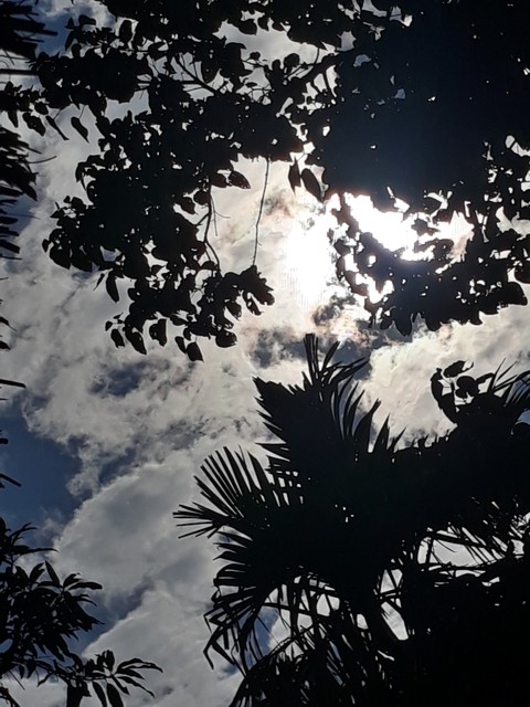 Cloud