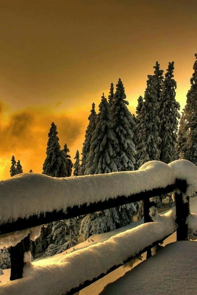 Winter sunset