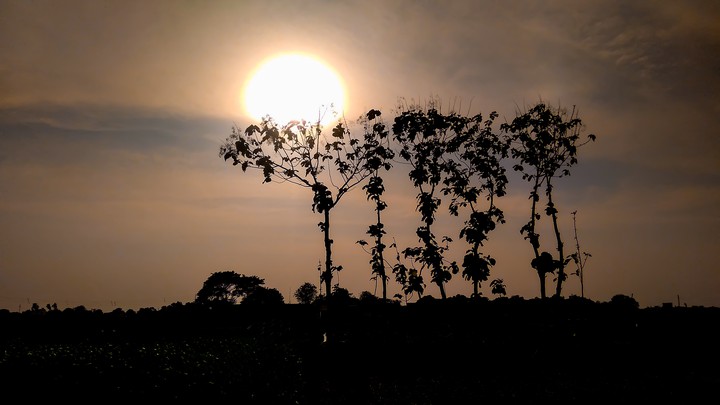 sunset