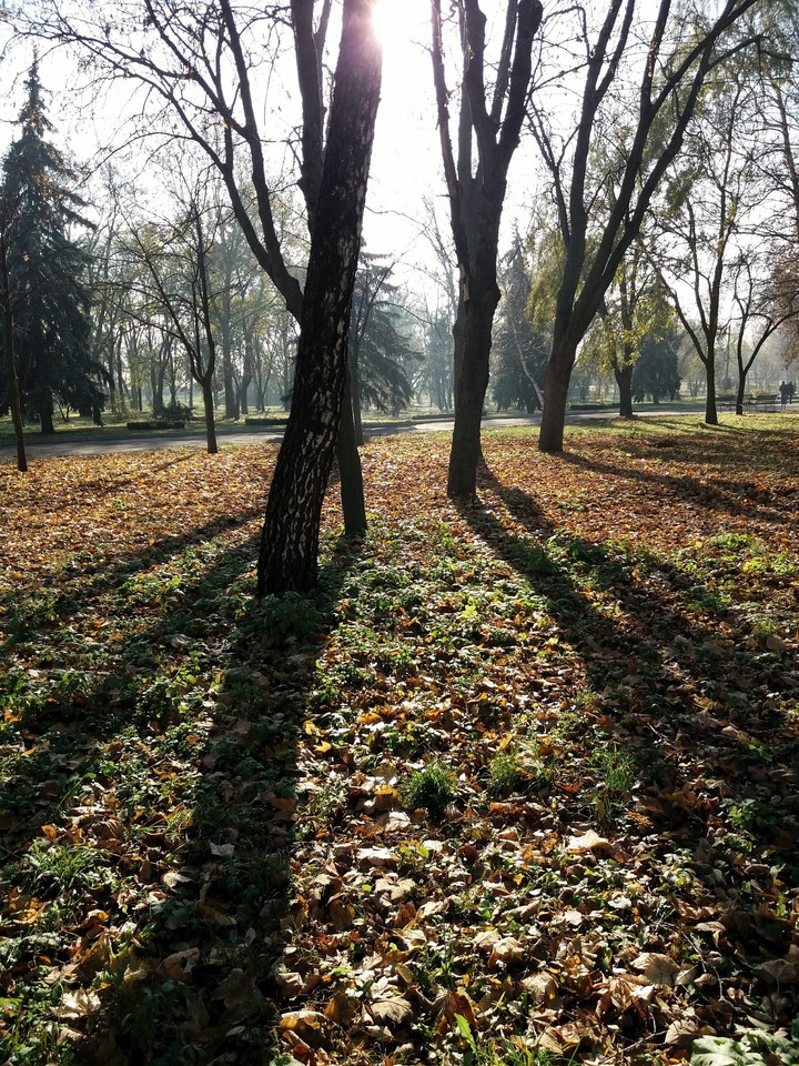 Autumn Park