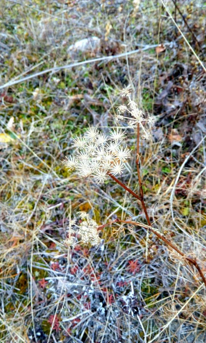 Autumn. Baikal. Wild.