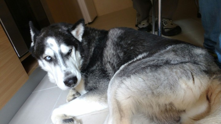 Spyke
