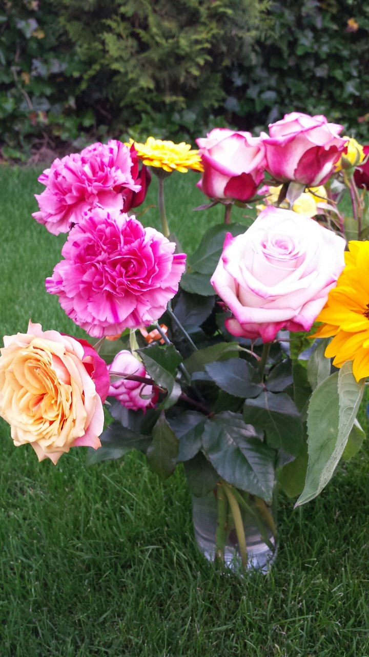 Blumen im Glas