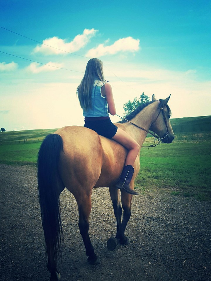 meadow