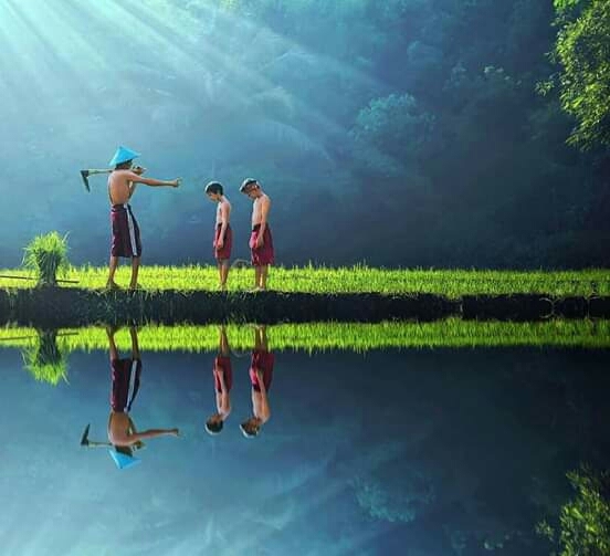 the beauty of Indonesia's nature