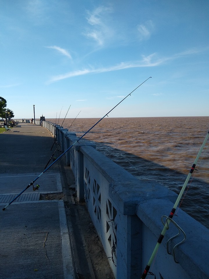 pescando