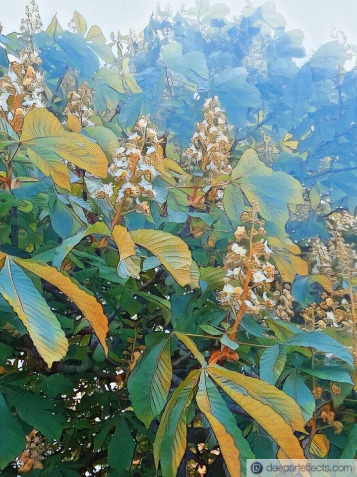 каштан