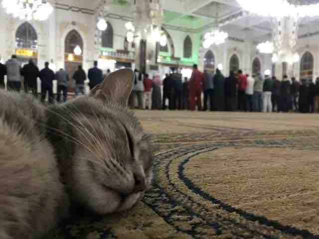 Peaceful