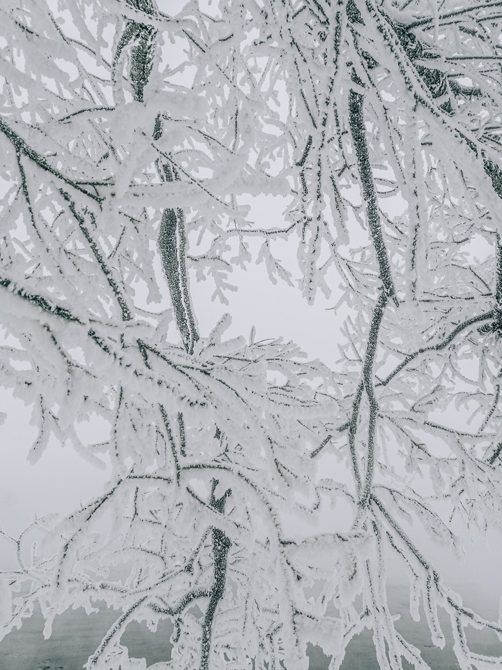 Snow Siberia