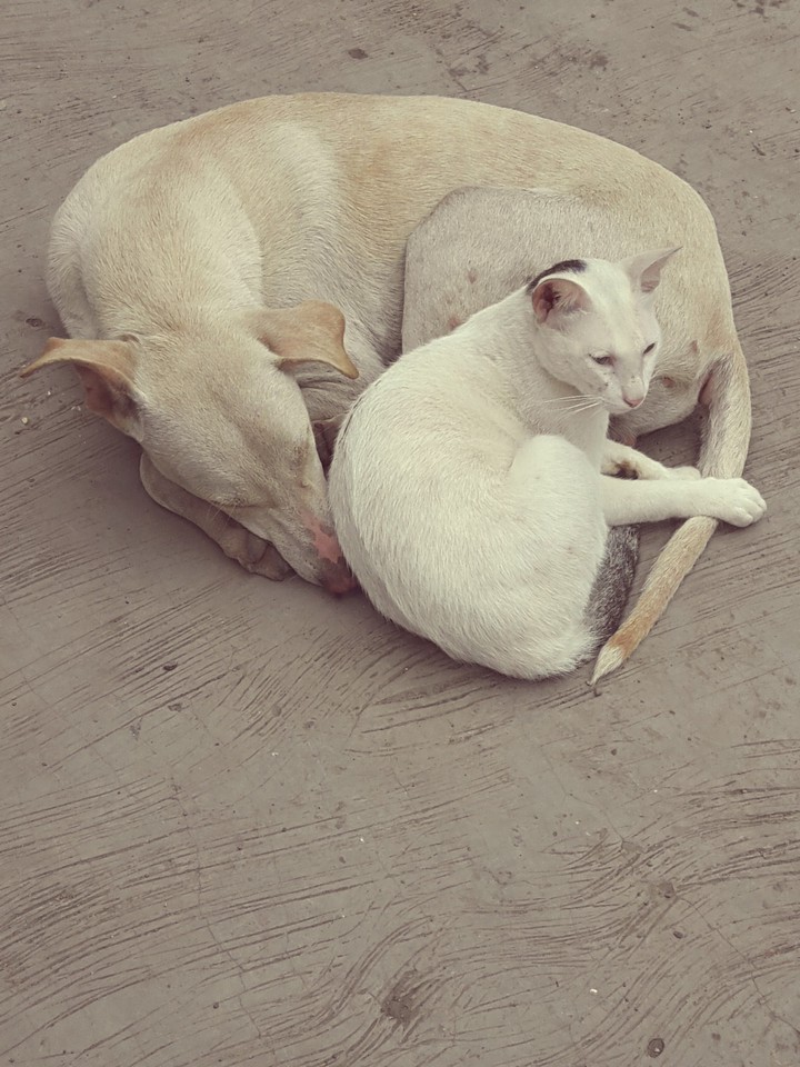 Best Friends
