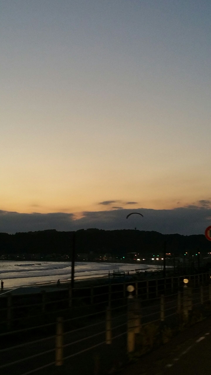 Paraglider