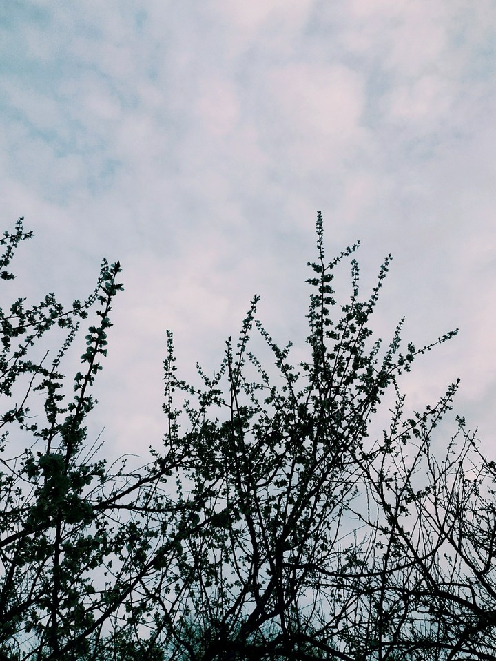 Spring