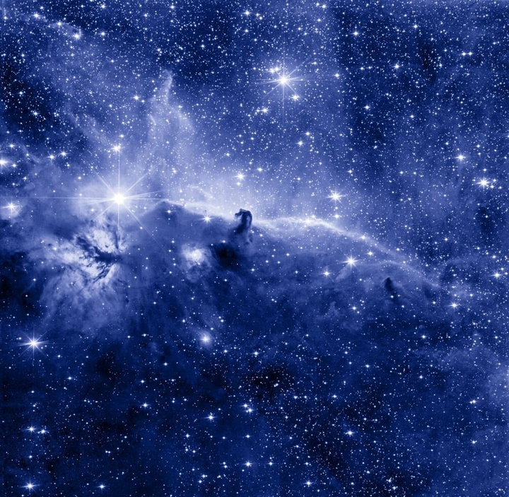 cosmos