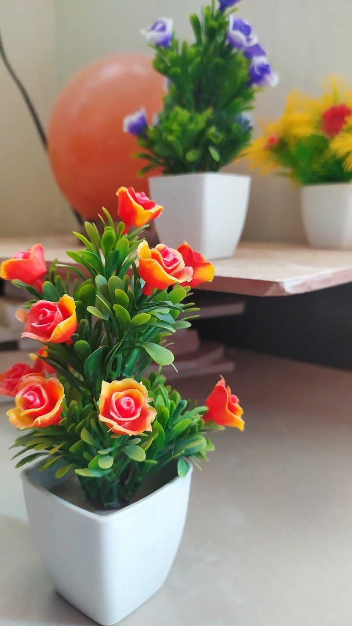 small flower pot