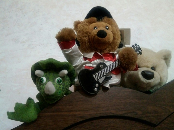 mascotas