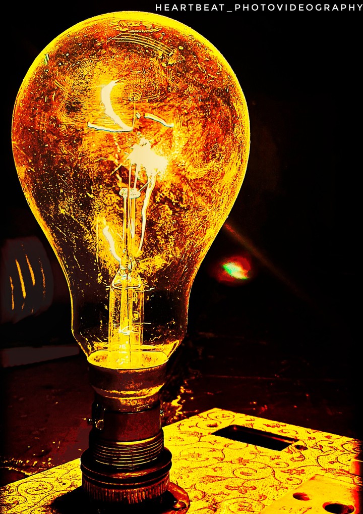 Bulb Lamp
