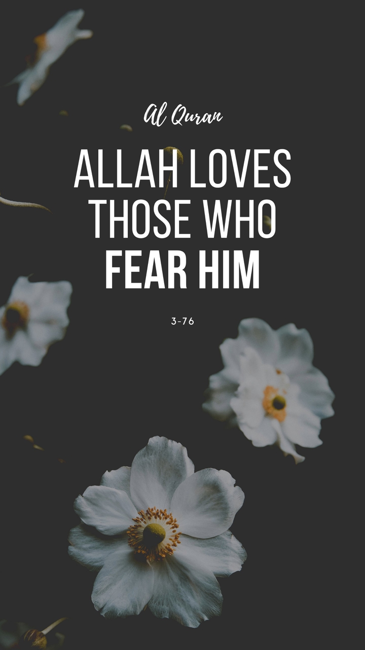 islam islamic Allah
