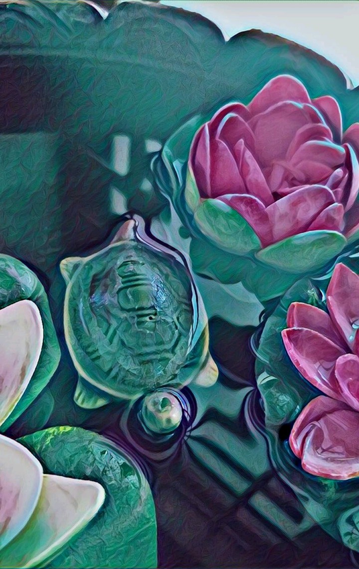 Turtle and Lotus