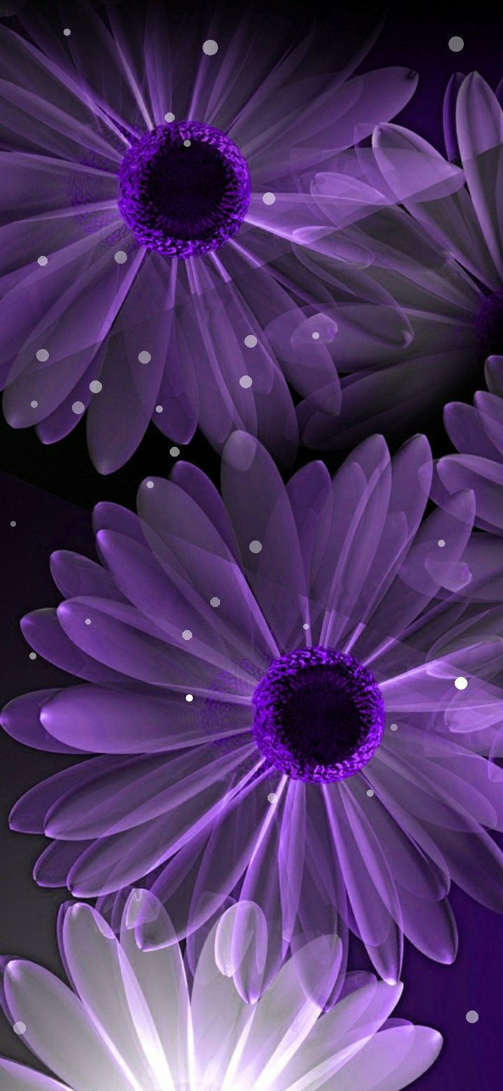 wallpaper