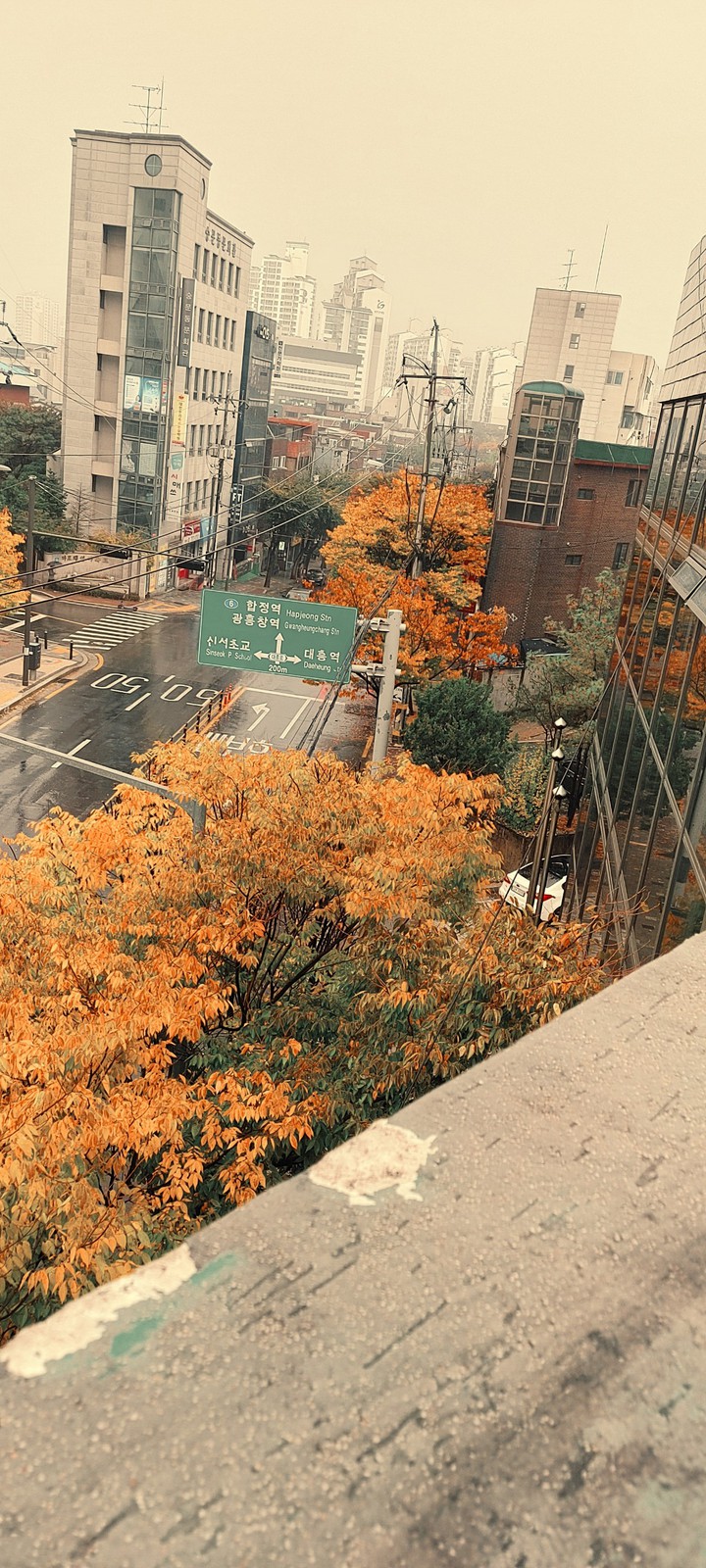 비오는날....