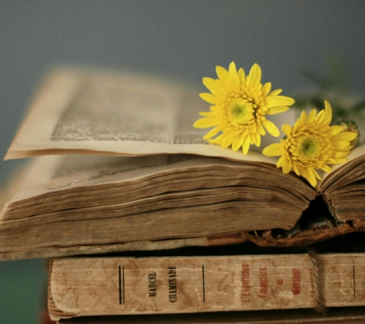 Livros