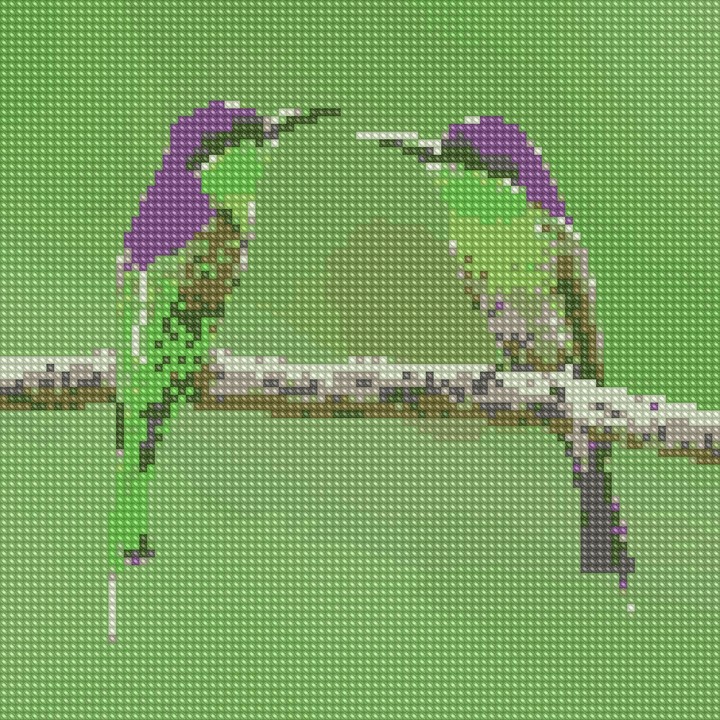 two birds