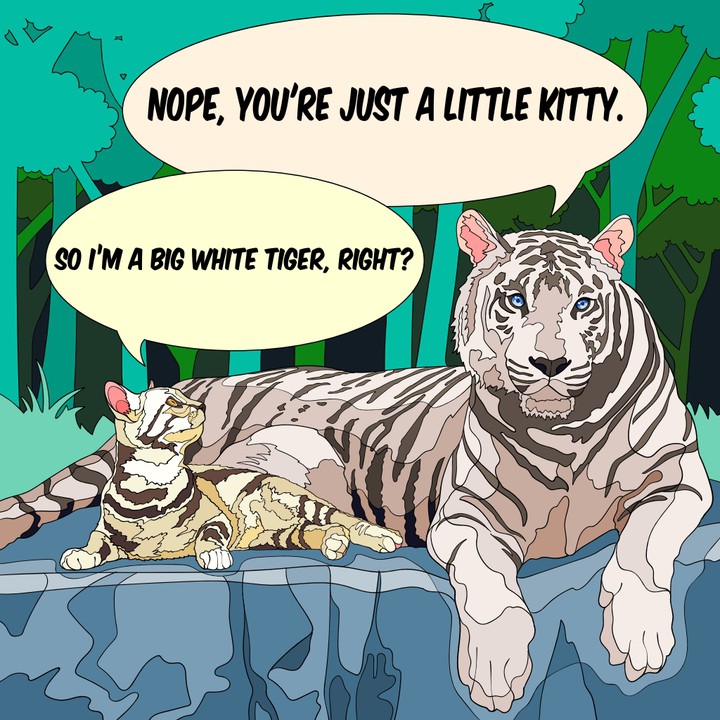 Tigre