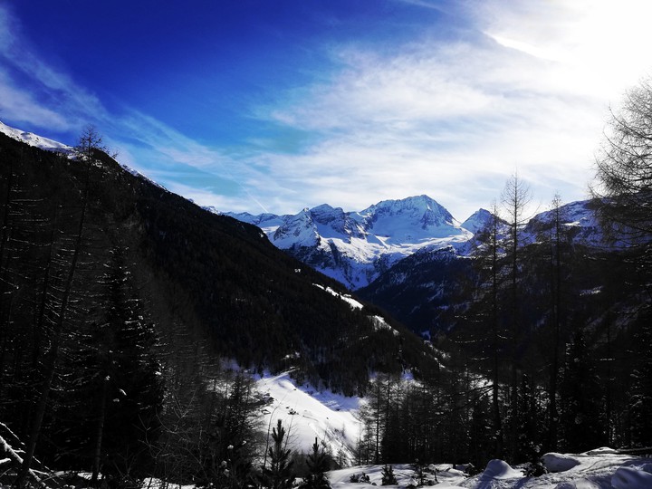 mountains