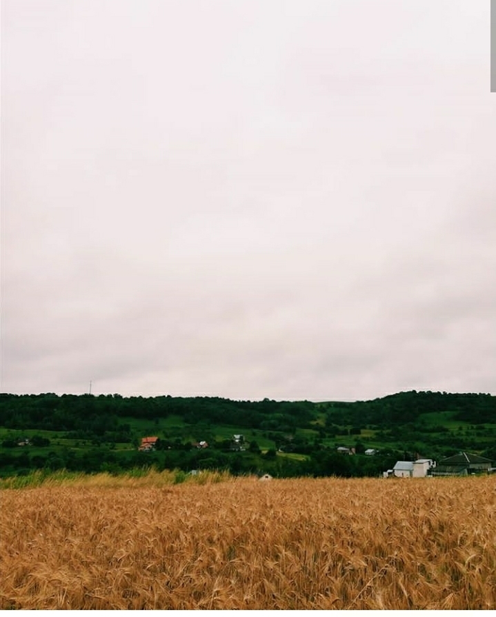 skyline