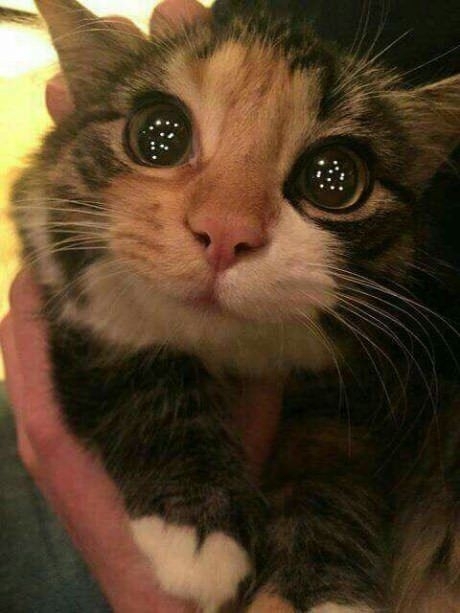?