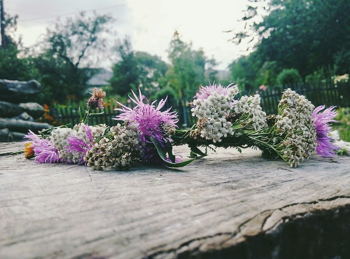 flowers