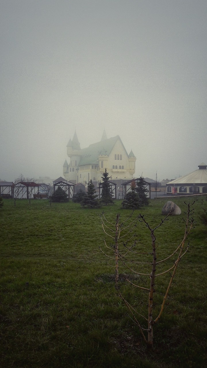 Castle in the fog°