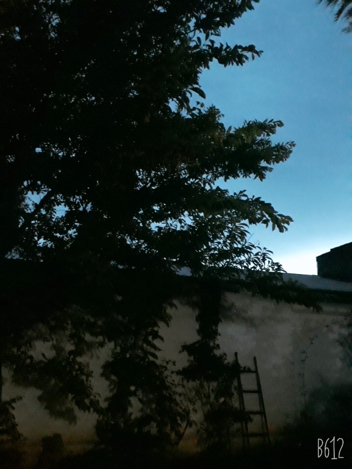 look at a sky