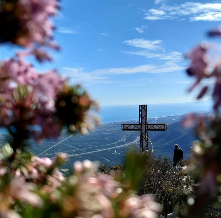 #view