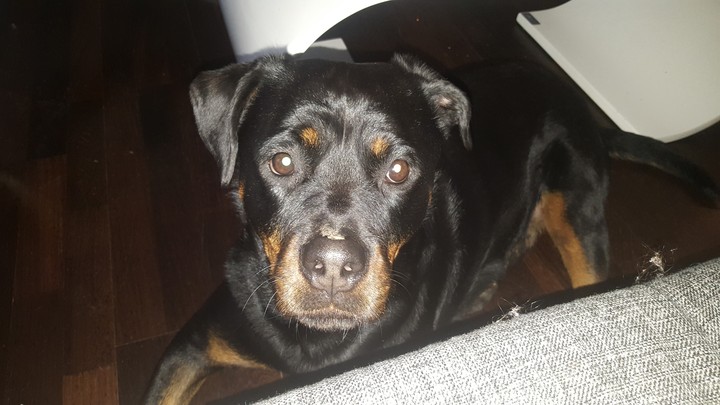 Lulu ❤❤