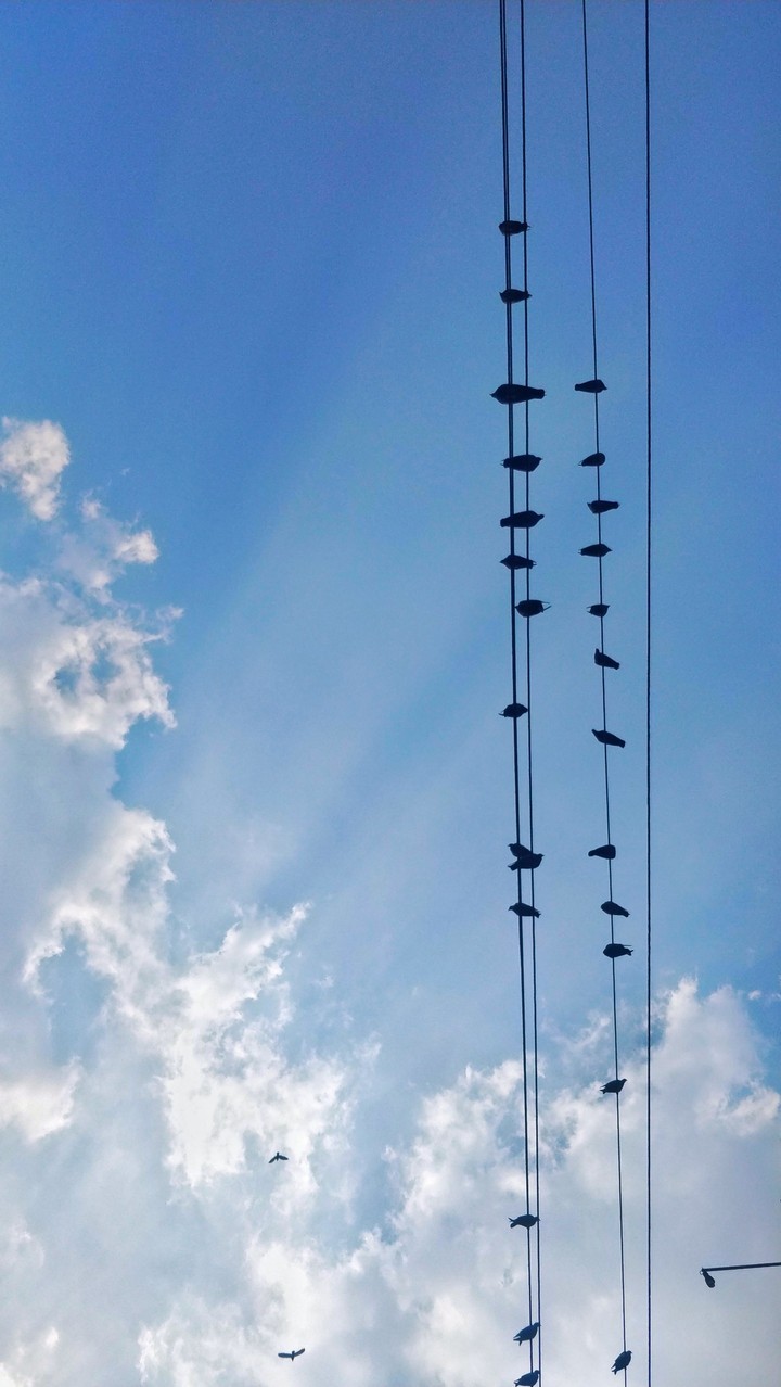 Sky high