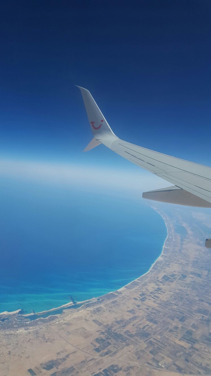 Fly