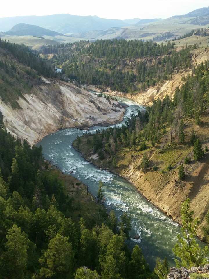 The Grand Canyon of Yellowstone