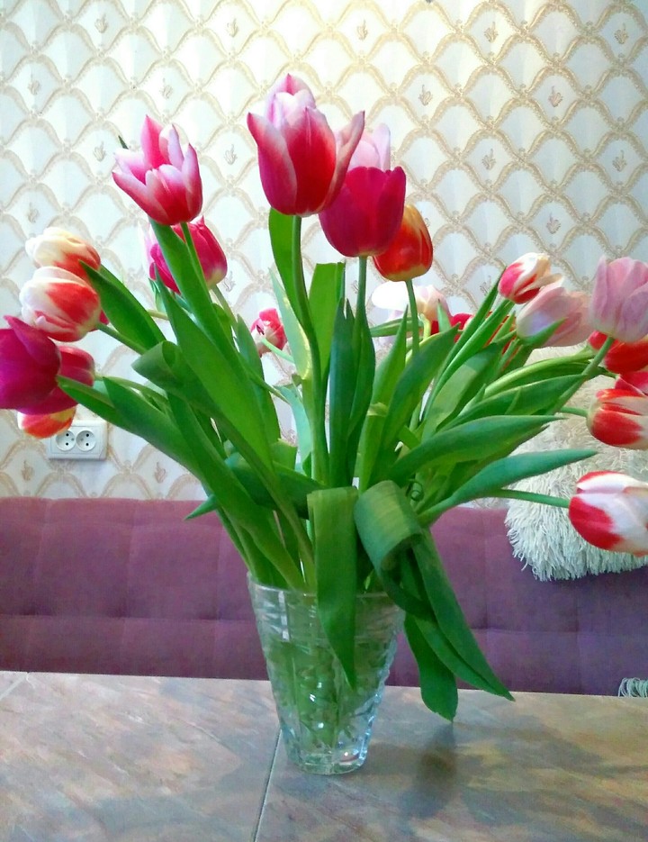 Tulips in a vase on the table.