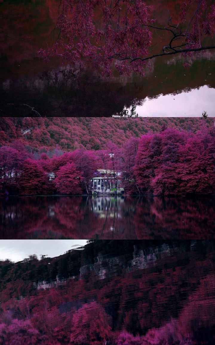 Japon