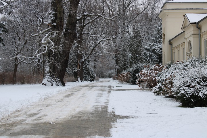 Winter