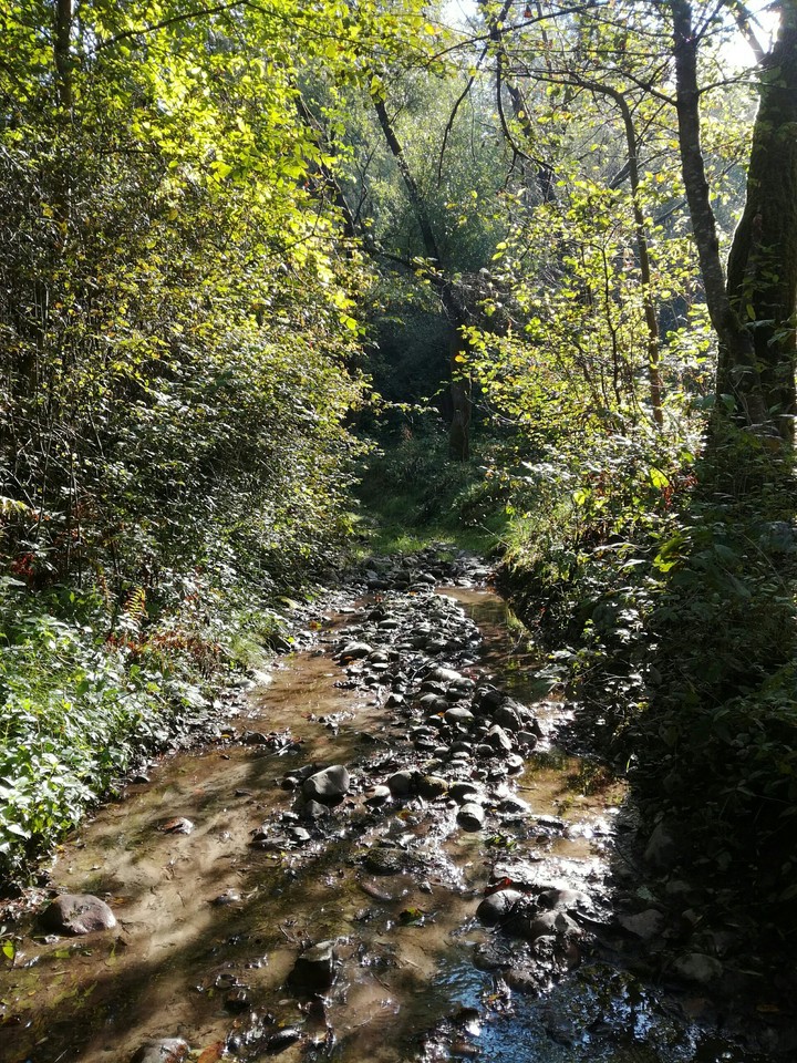 Minunat
