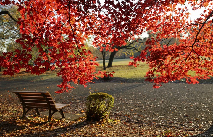 park