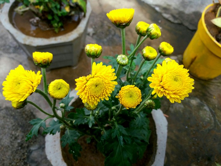 nice click