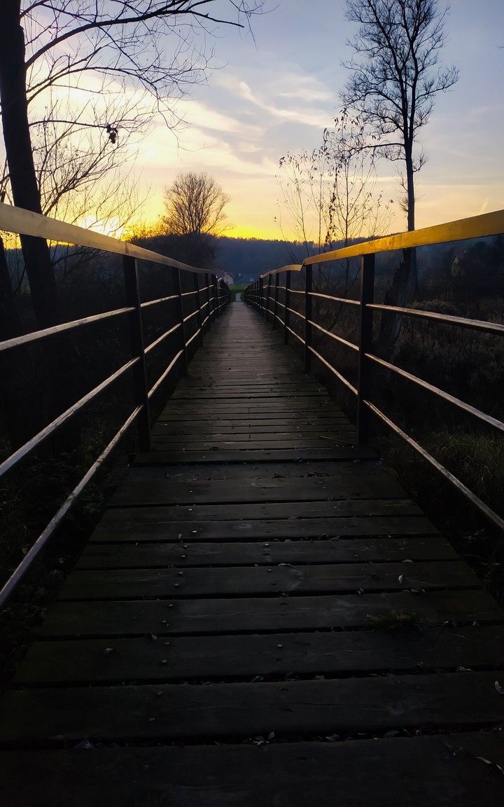 Bridge